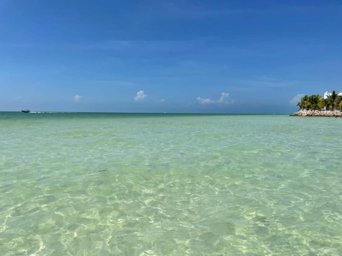 Hotel Pool View Loft Steps From The Ocean In Punta Cocos - C101 Isola Holbox Esterno foto