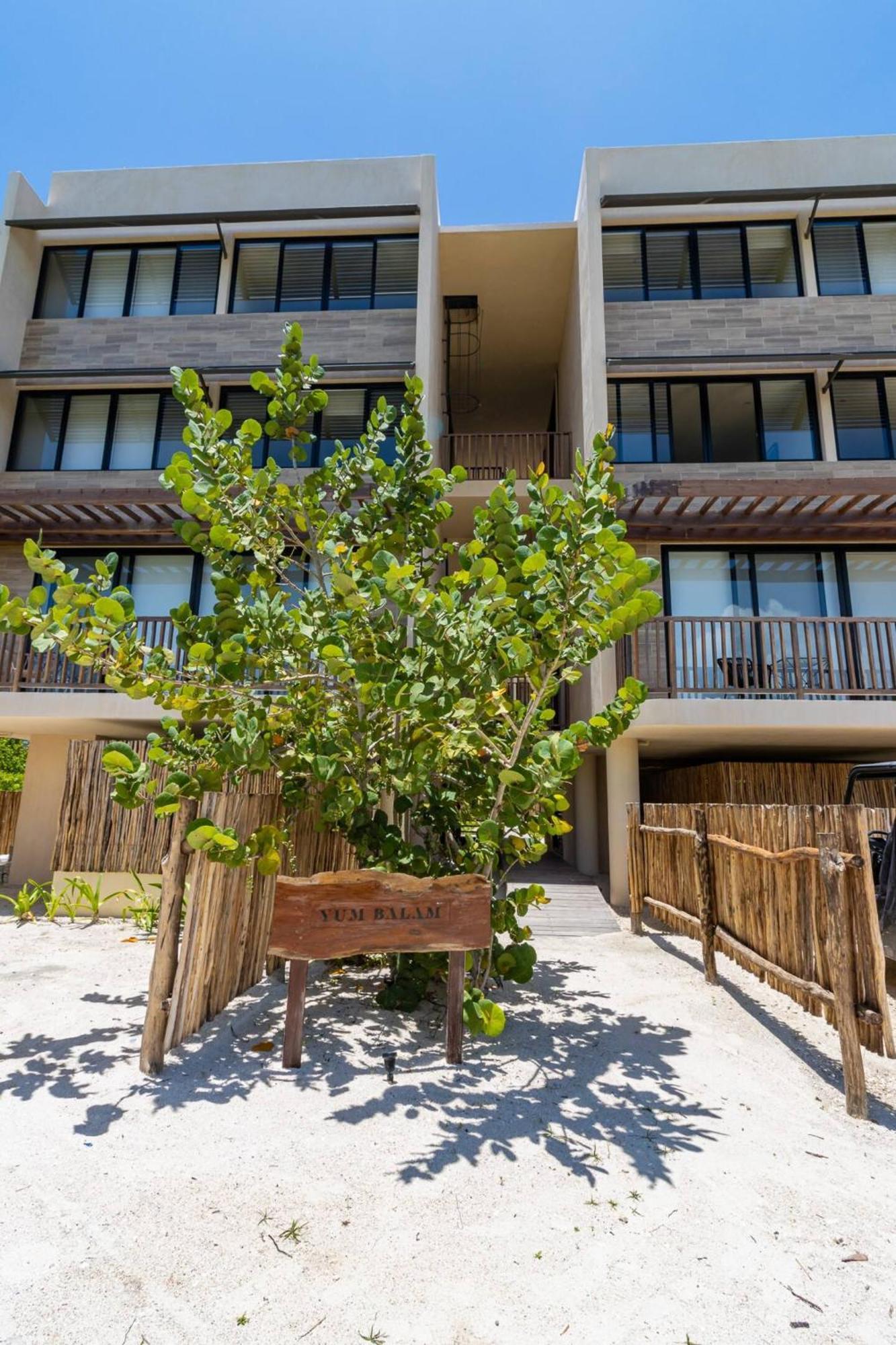 Hotel Pool View Loft Steps From The Ocean In Punta Cocos - C101 Isola Holbox Esterno foto